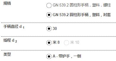 Ganter 固定把手 GN539.2系列 